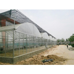 薄膜连栋-青州瀚洋农业-连栋薄膜温室