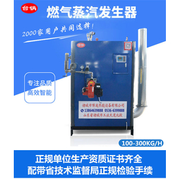 上海灭菌罐蒸汽发生器-台锅热能-灭菌罐蒸汽发生器厂家
