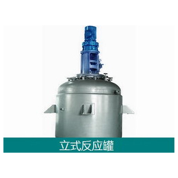 东昊无机盐反应罐-常压和压力反应罐-设计制造正规厂家