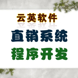 **软件系统案例 分盘制*业绩工资结算软件