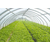 玻璃阳光温室大棚-通化温室大棚-华牧养殖设备定做缩略图1
