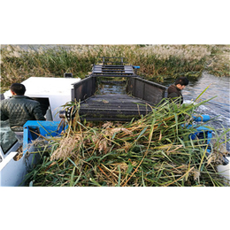 青州生产河道捞草机、阜沙镇河道捞草机、水浮莲清理机械(查看)