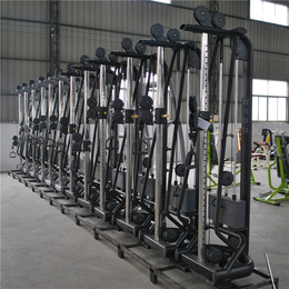 山东健身器材供应A室内健身器材 单功能 局部锻炼健身器材