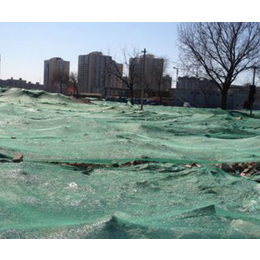绿色盖土网多少钱、防尘网厂家直销、北京绿色盖土网