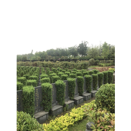 陵园服务|武汉陵园|祥和殡葬服务