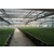 河北华耀温室种植移动苗床的作用缩略图3