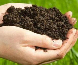 土壤检测-中环物研-土壤检测费用