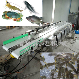 凯旭供应自动黄花鱼分六级七级设备 鲫鱼分拣分选机缩略图