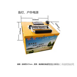 低速车电池组厂_天成盛(在线咨询)_天津低速车电池组