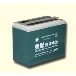 酸锂电池-奥冠新能源(在线咨询)-张家口锂电池