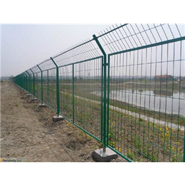 养殖*围栏网使用寿命、腾佰丝网、安徽养殖*围栏网