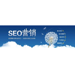 seo优化网站排名-seo关键词优化价格-日照之音网络