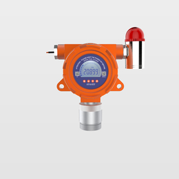 供应无眼界ES10B11可燃气体检测仪