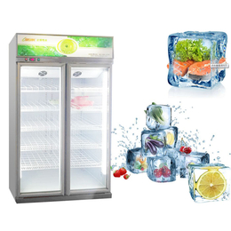 立式冷冻柜图片,赣州立式冷冻柜,达硕制冷设备生产(多图)