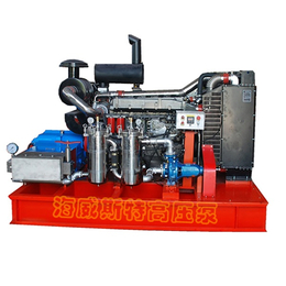 标志线清洗机生产厂家-标志线清洗机-天津海威斯特高压泵