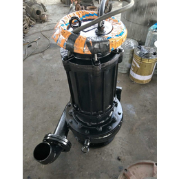 泉州ZJQ100-110-28潜水渣浆泵-新楮泉泵业