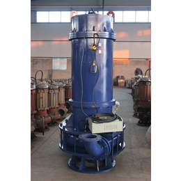 新疆ZJQ60-30-22潜水泥浆泵-新楮泉水泵