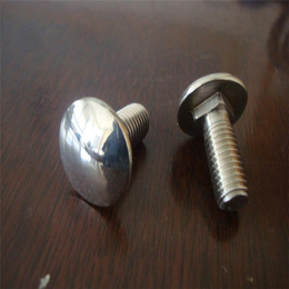 邯郸市不锈钢异型螺栓|江苏不锈钢异型螺丝|不锈钢异型螺栓