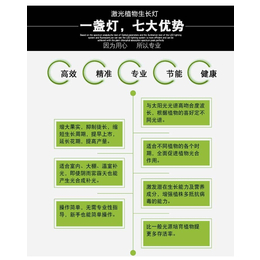 平凉补光灯、【红皎阳补光灯】、 温室补光灯