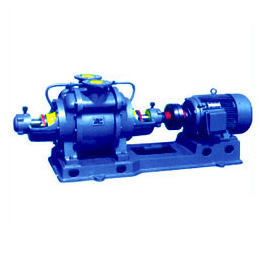 水环式小型真空泵哪家好-荣瑞泵业-福建水环式小型真空泵