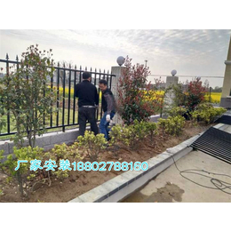 郑州护栏|博达铁丝网厂家|道路护栏厂家