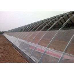 牡丹江温室,青州鑫华生态农业,玻璃温室