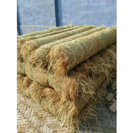 植物纤维毯环保草毯大品牌远景厂家*雄安护坡绿化项目缩略图