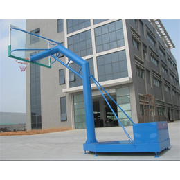 遥控性篮球架厂家_时迁体育器材(在线咨询)_上海篮球架厂家
