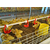 六安养殖鸡笼,方圆养殖设备,蛋鸡笼智能养殖缩略图1