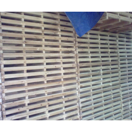 木质筛框 木制筛框 木筛框