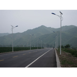 鹿泉新农村建设30W LED路灯