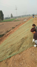 植物纤维毯植生毯椰丝毯厂家*高速护坡绿化