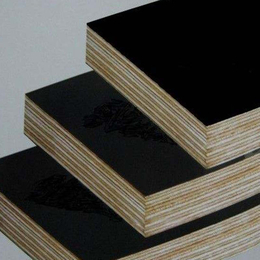 山东多层实木板胶合夹板可贴皮环保家具板木板材15mm