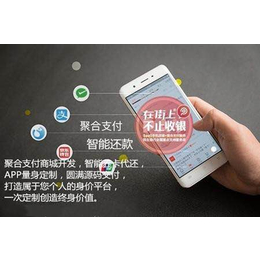 聚合支付+贷超系统+智能代还缩略图