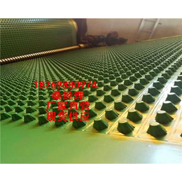 供应滁州园林绿化蓄水板价格阜阳阻根排水板生产