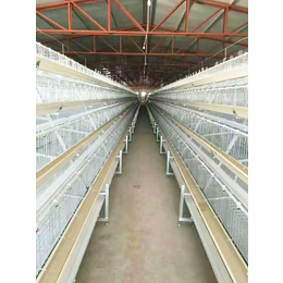 层叠式鸡笼|禽翔笼具厂|五莲层叠式鸡笼厂家