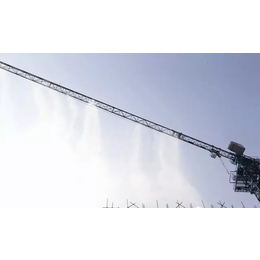 绵阳市三台县NPD-20全自动塔吊喷淋机