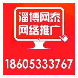 淄博网泰科技(图),滨州seo网站优化,邹平网站优化