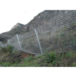 钢丝网护坡.护坡用钢丝网.钢丝网护山的作用