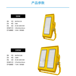 *LED灯 化工厂用室外防水厂库房防震LED*泛光灯路灯