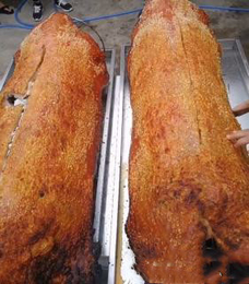 含金的项目脆皮烤猪经典工艺美食大猪