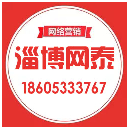 淄博seo网站优化公司、淄博网泰科技、张店网站优化公司