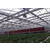 温室、青州市鑫华生态农业、玻璃温室缩略图1