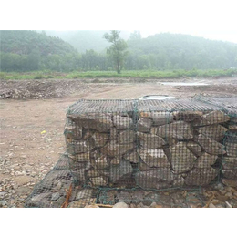 中卫塑料土工格栅-同昇工程材料-河道塑料土工格栅
