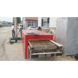临朐金阳干燥厂-济南烘干机-向天果烘干机