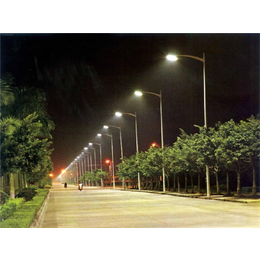东龙新能源公司(图)、农村LED路灯*、威海农村LED路灯