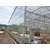 玻璃温室-青州瀚洋农业-玻璃温室骨架缩略图1