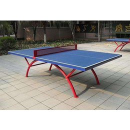 新疆室内乒乓球台、奥祥文体厂家批发、室内乒乓球台尺寸