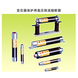 上海熔断器生产厂家_高鼎电器(在线咨询)_熔断器