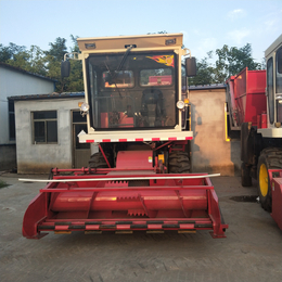 自动化玉米秸秆粉碎回收机 牧草收割机 自走式青储机价格